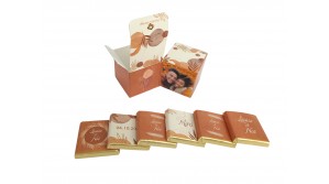 Double Cube thème Terracotta